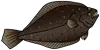 黒カレイアイコン