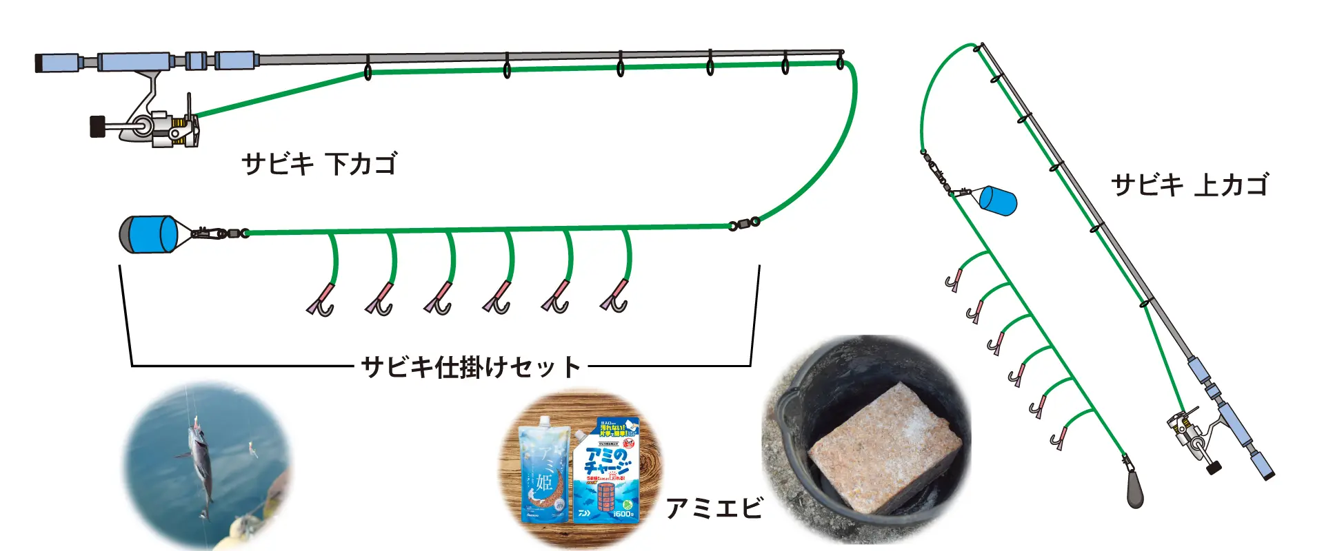 エサと仕掛け