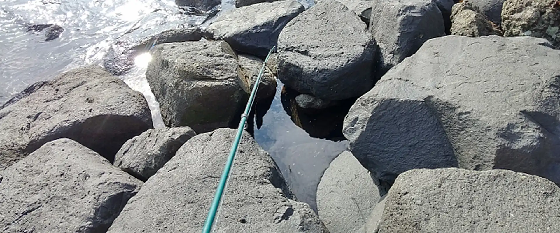 そもそも「穴釣り」とは?どんな釣り?