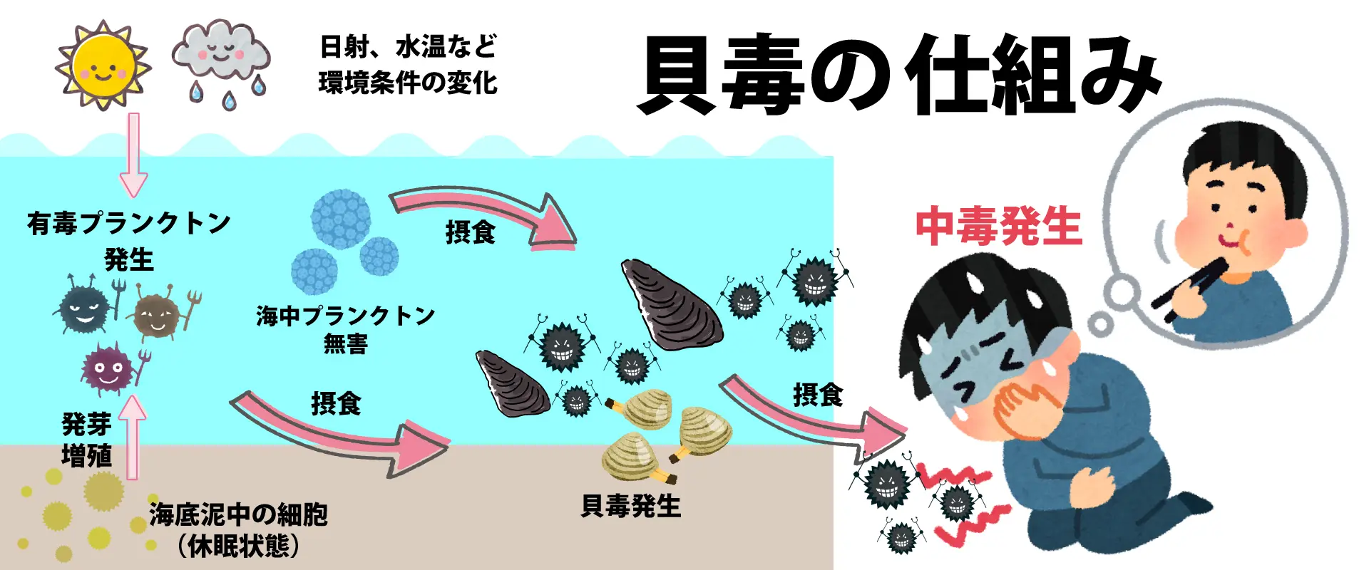 貝毒とは?