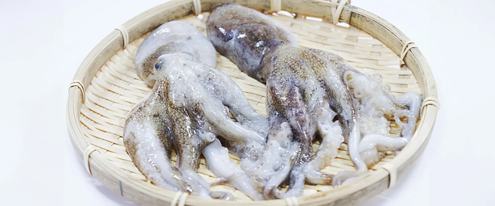 イイダコ売ってる場所と食べ方は?