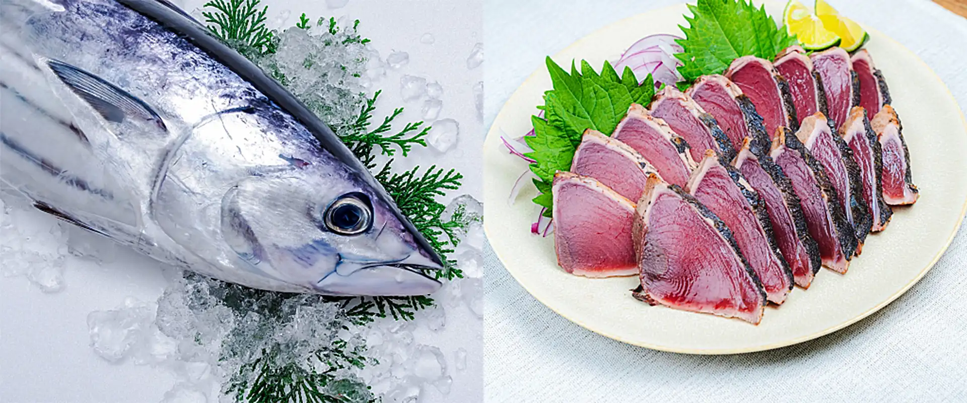 そもそも「かつおのたたき」とは?どんな食べ物?