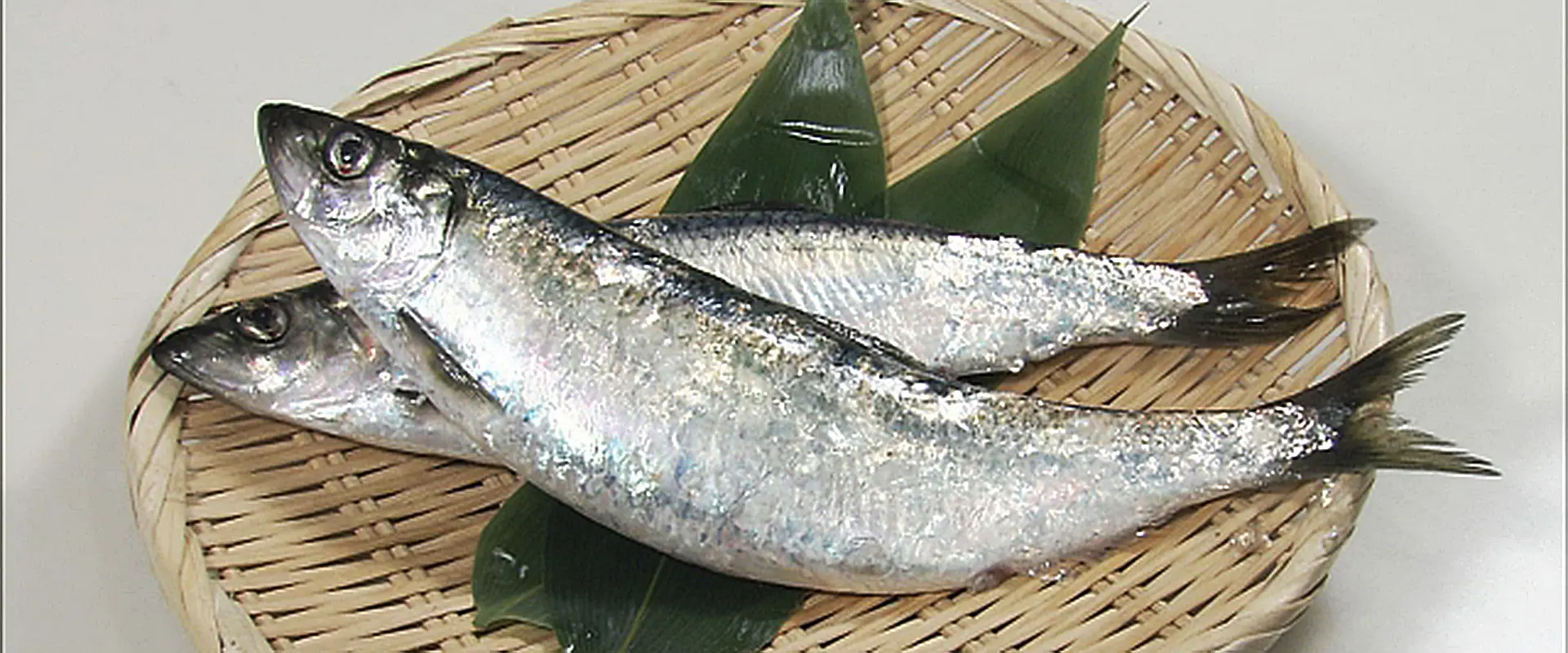 そもそもニシンとは?どんな魚なの?白子は危険?