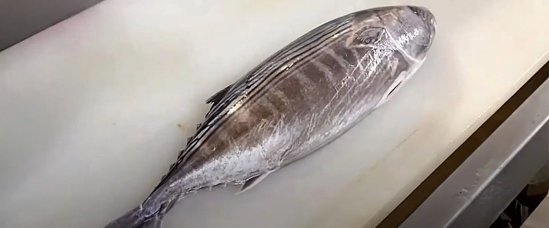 ハガツオの美味しい食べ方は?刺身はまずい?