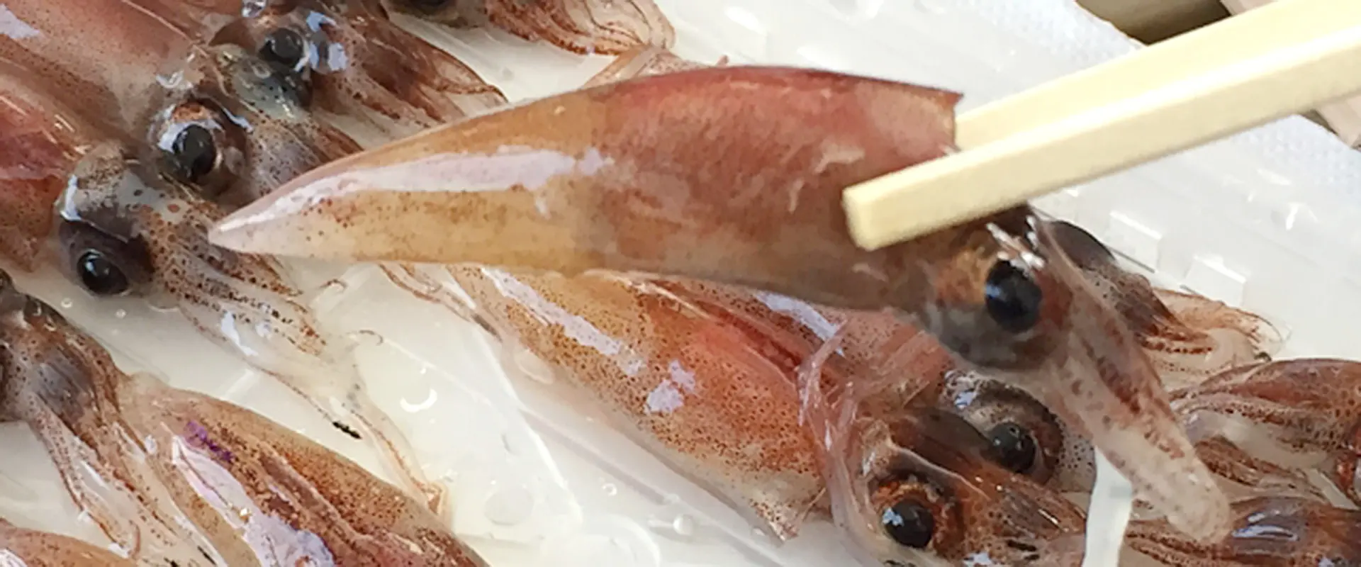 ホタルイカは鮮度が良くても生食は危険?