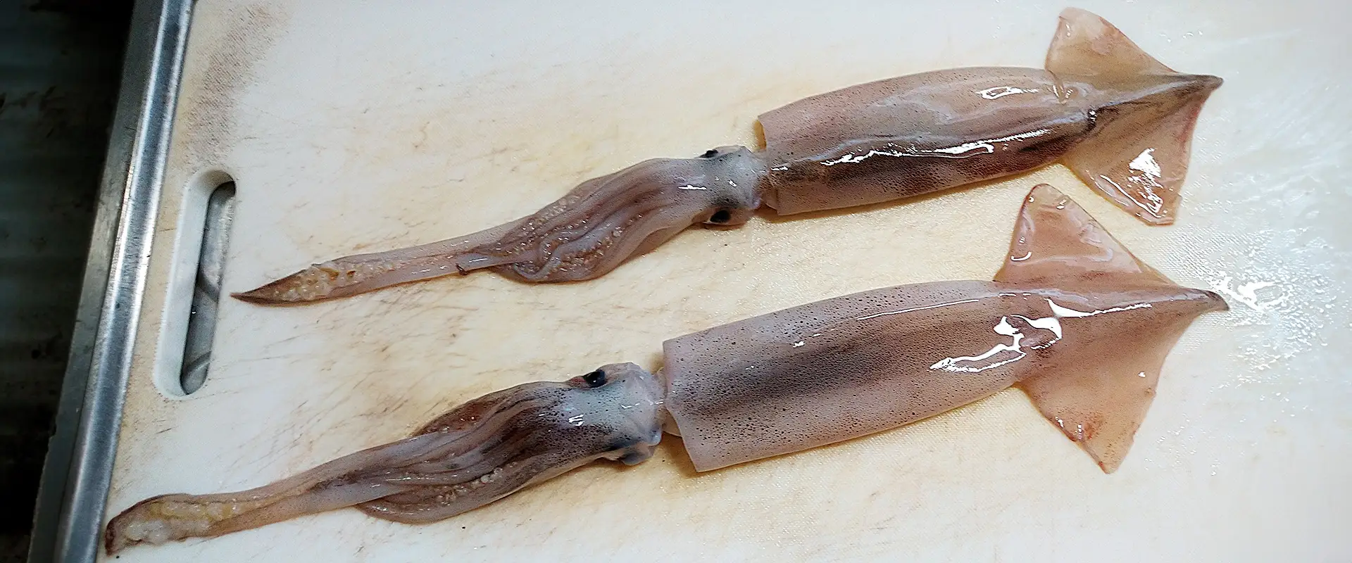 イカ徳利(ぐい呑)作り方!工程順