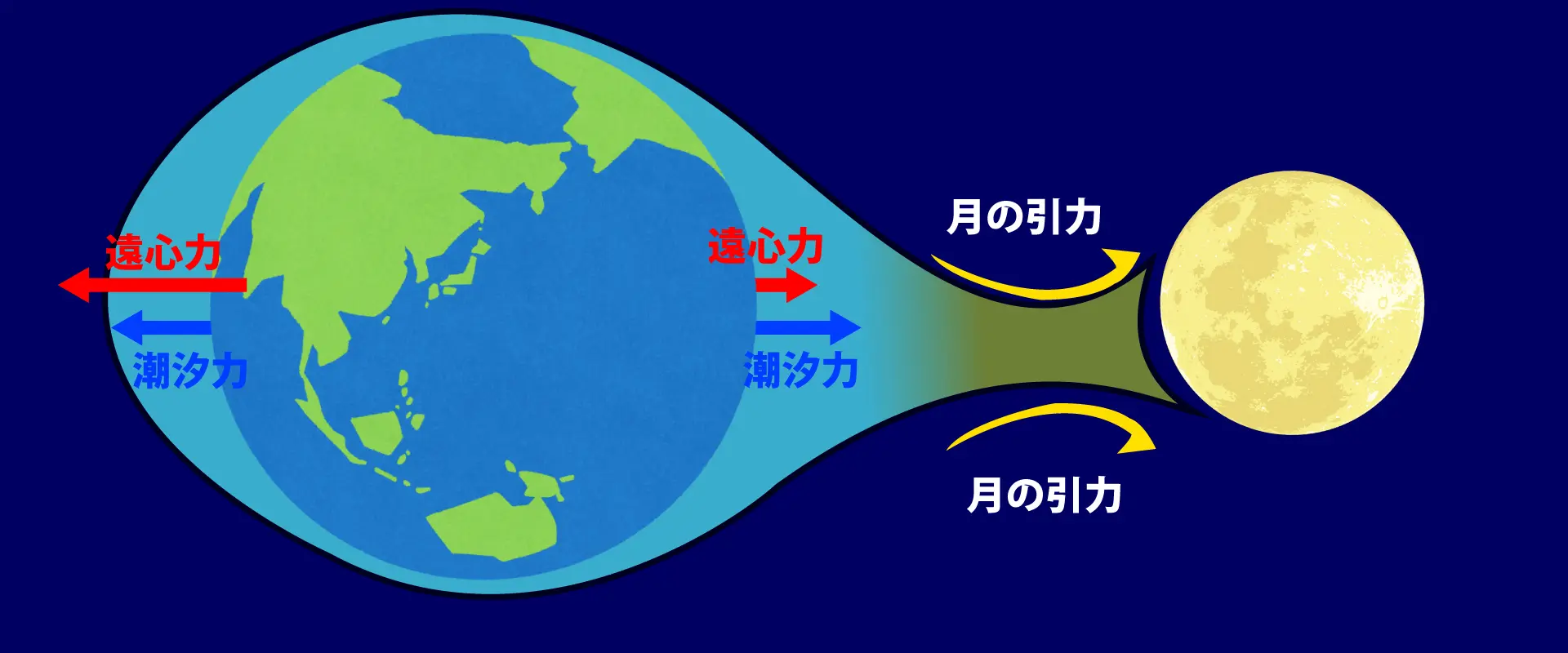 なぜ地球の反対側でも満潮に?