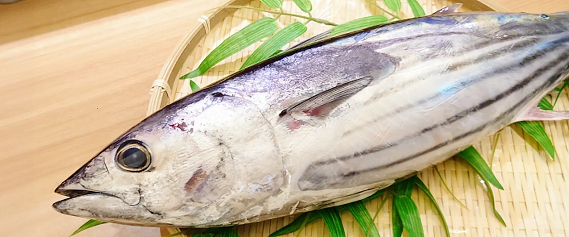 初(上り)鰹とは?時期と特徴