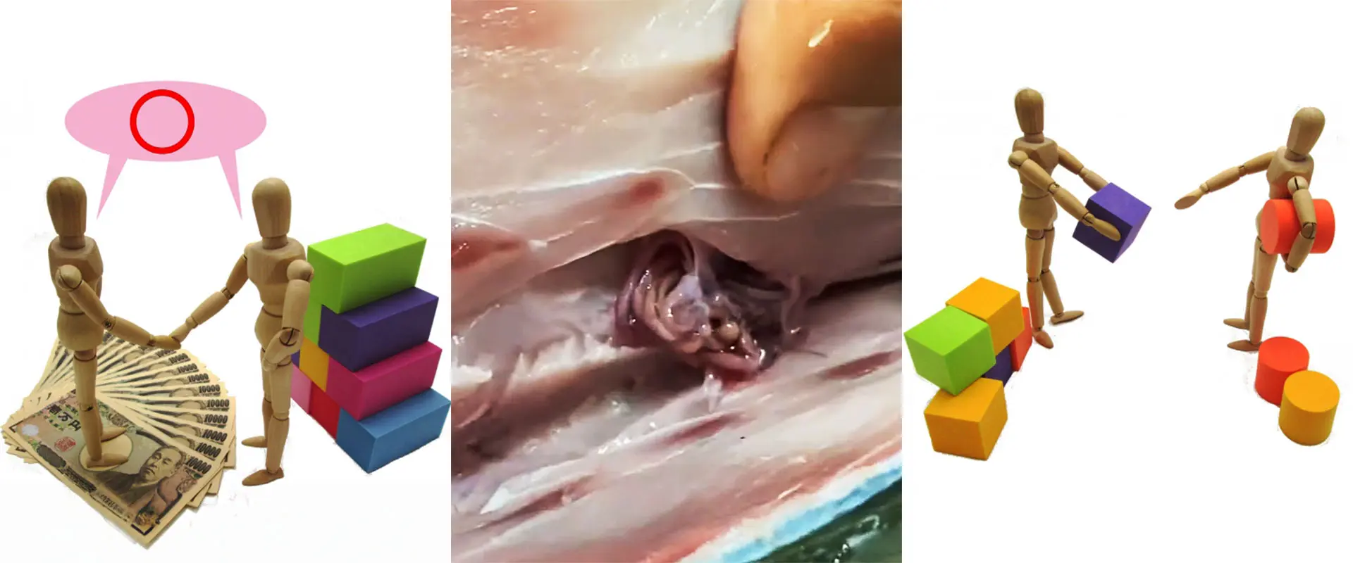 これはクレーム？ブリに糸状虫がいた場合の判断基準