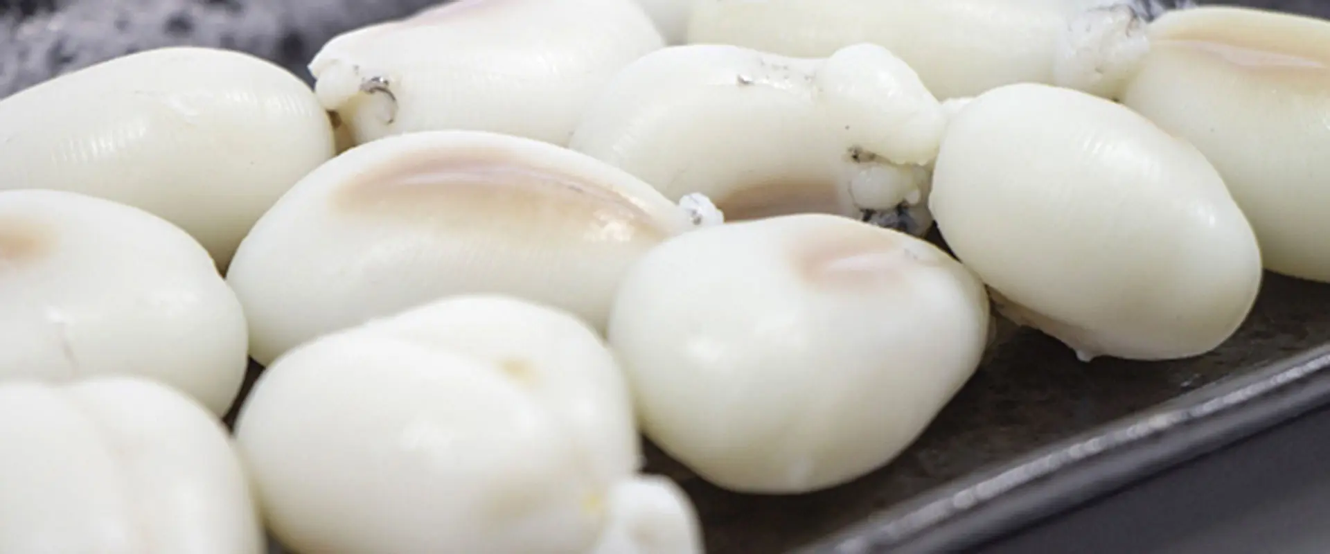 メスの内臓の白いもの