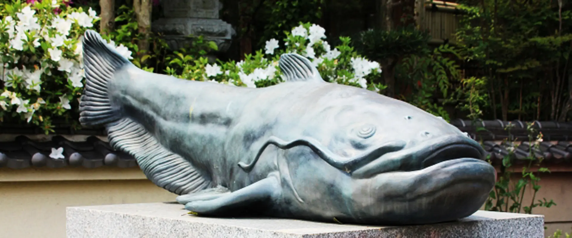 ナマズの蒲焼きはまずい？料理に臭みは？うなぎの代用魚？まとめ
